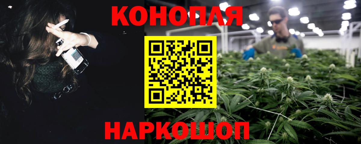 Кохма  Конопля Bruce Banner  Бошки марихуана сатива  Конопля сатива  Вход с VPN 